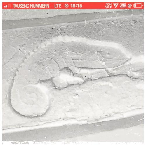 NONSTOP - CAMAELEON